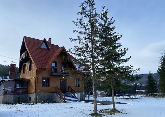 Iryna Villa Myslovka