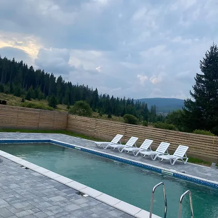 Iryna Villa *